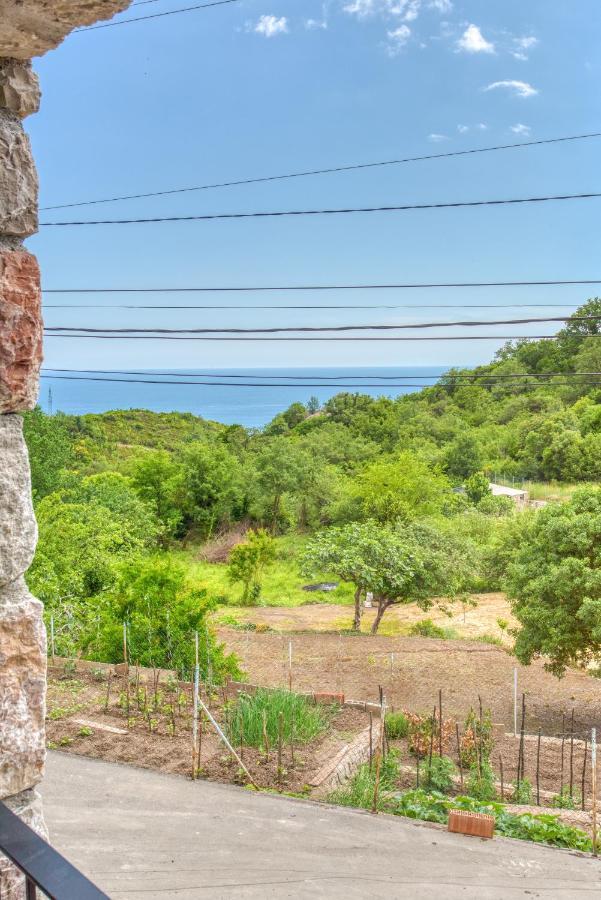 Vila Stari Mlin Ivanovici Εξωτερικό φωτογραφία